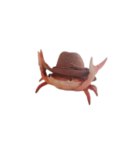 crab