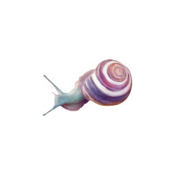 snail