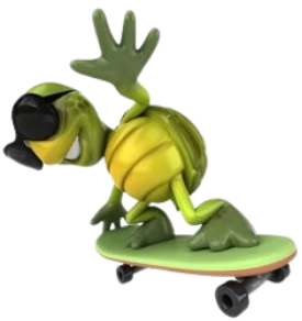 turtle